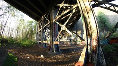 Landscapes nature Trees metal concrete Bridges forests