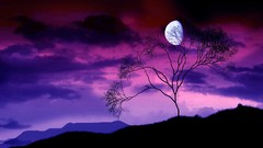 Landscapes nature Trees moon