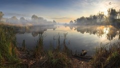Landscapes nature Trees morning lakes sun rays dawning