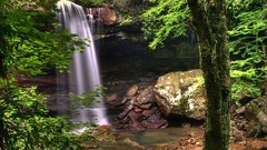 Landscapes nature Trees moss waterfalls Pennsylvania rocks USA 