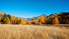Landscapes nature Trees Mountains
