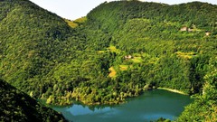 Landscapes nature Trees Mountains