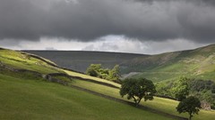 Landscapes nature Trees Mountains