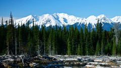 Landscapes nature Trees Mountains