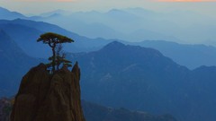 Landscapes nature Trees Mountains