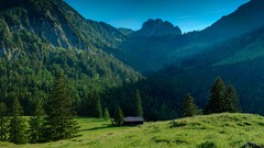 Landscapes nature Trees Mountains