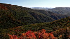 Landscapes nature Trees Mountains