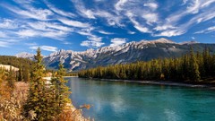 Landscapes nature Trees Mountains