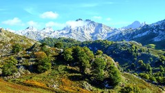 Landscapes nature Trees Mountains