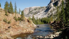 Landscapes nature Trees Mountains