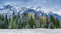 Landscapes nature Trees Mountains