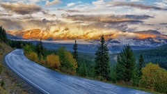 Landscapes nature Trees Mountains