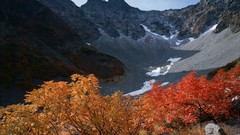 Landscapes nature Trees Mountains