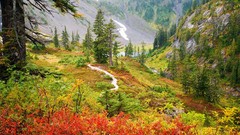Landscapes nature Trees Mountains autumn foliage meadows mount 