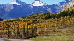 Landscapes nature Trees Mountains autumn white Green Canada 