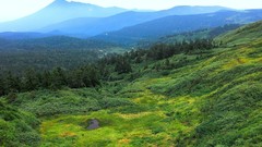 Landscapes nature Trees Mountains clouds