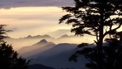 Landscapes nature Trees Mountains clouds evening Taiwan 
