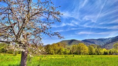 Landscapes nature Trees Mountains clouds forests skylines