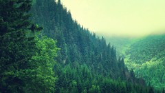 Landscapes nature Trees Mountains clouds hills forests pine 