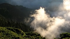 Landscapes nature Trees Mountains clouds hills mist