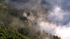 Landscapes nature Trees Mountains clouds hills mist forests