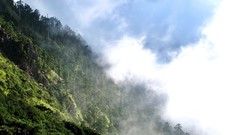Landscapes nature Trees Mountains clouds hills mist hillside