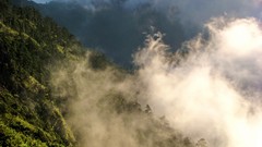 Landscapes nature Trees Mountains clouds hills mist hillside