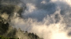 Landscapes nature Trees Mountains clouds hills mist hillside