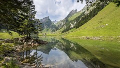 Landscapes nature Trees Mountains clouds lakes