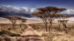 Landscapes nature Trees Mountains clouds roads african