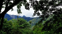 Landscapes nature Trees Mountains clouds skies