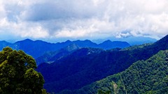 Landscapes nature Trees Mountains clouds skies