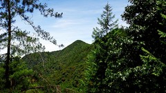 Landscapes nature Trees Mountains clouds skies