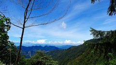 Landscapes nature Trees Mountains clouds skies