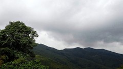 Landscapes nature Trees Mountains clouds skies