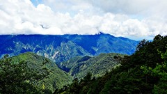 Landscapes nature Trees Mountains clouds sunlight skies