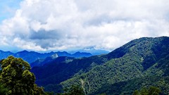 Landscapes nature Trees Mountains clouds sunlight skies