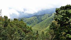 Landscapes nature Trees Mountains clouds sunlight skies