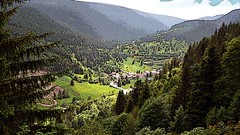 Landscapes nature Trees Mountains forests