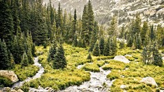 Landscapes nature Trees Mountains Green