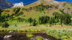 Landscapes nature Trees Mountains Green