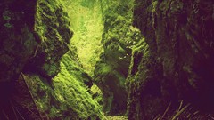 Landscapes nature Trees Mountains Green rocks