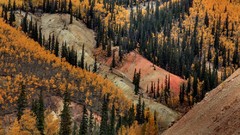 Landscapes nature Trees Mountains hills