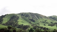 Landscapes nature Trees Mountains hills