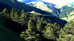 Landscapes nature Trees Mountains hills forests