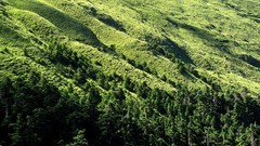 Landscapes nature Trees Mountains hills Green hillside forests