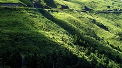 Landscapes nature Trees Mountains hills Green hillside forests