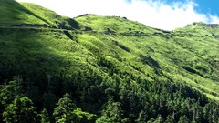 Landscapes nature Trees Mountains hills hillside forests