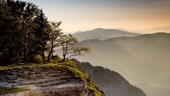 Landscapes nature Trees Mountains horizon