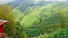 Landscapes nature Trees Mountains houses sunlight